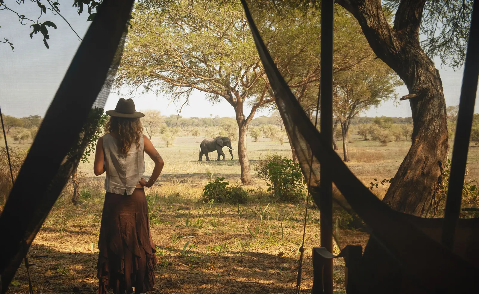 Depuis une tente ouverte, une voyageuse observe les éléphants entre les arbres.