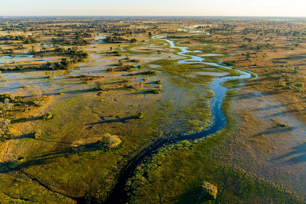 Vue aérienne du Delta de l'Okavango, où des méandres d’eau serpentent à travers une mosaïque de verdure et de zones marécageuses.