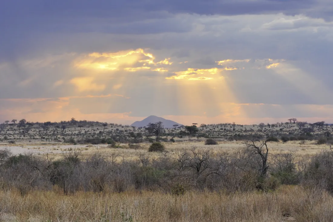Rayons de soleil sous les nuages au-dessus de la savane de Ruaha.