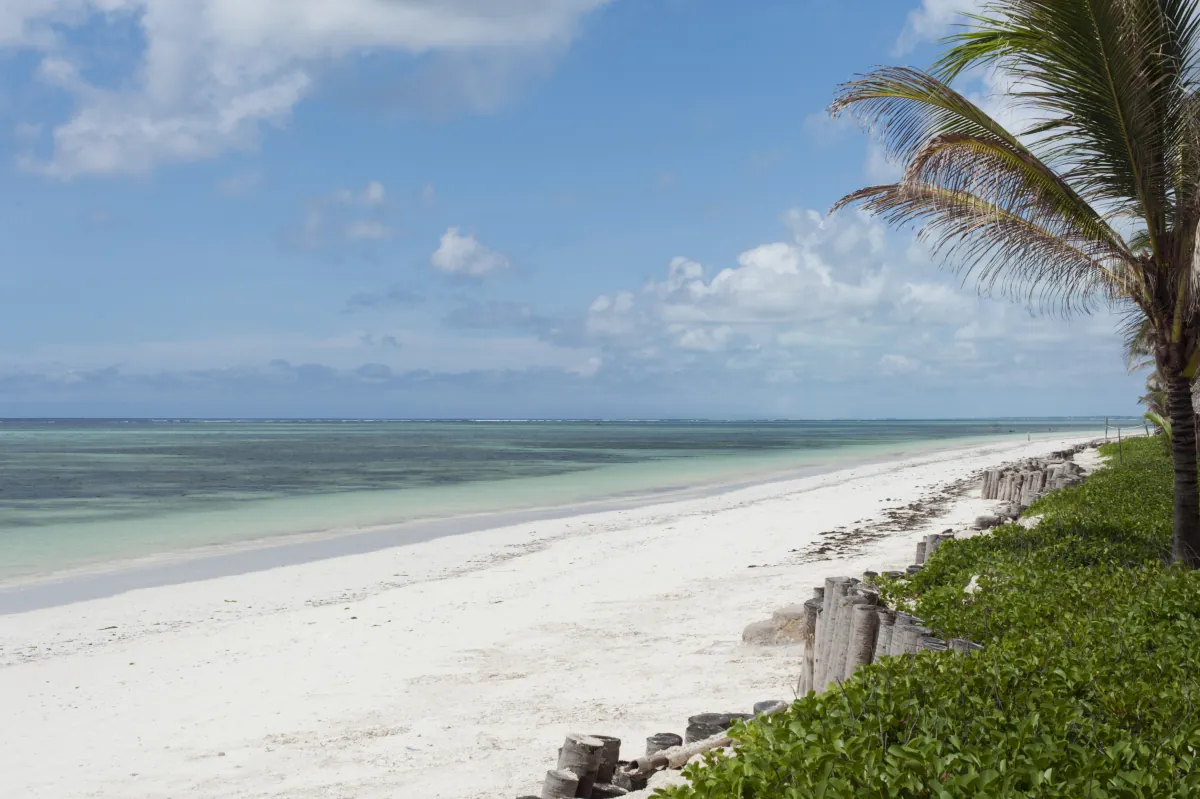 Plage de sable blanc et palmiers face au lagon de Zanzibar.