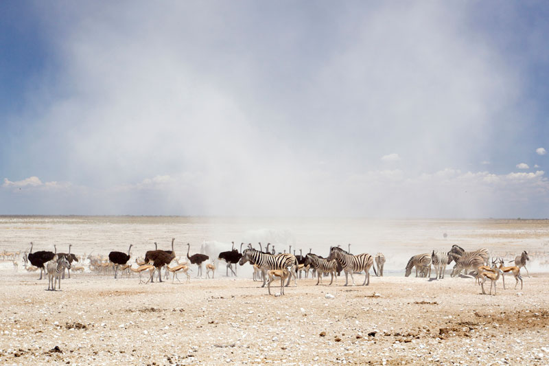 agence de voyage specialiste namibie voyage en famille