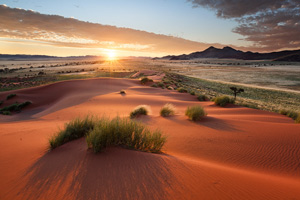 agence de voyage suisse pour afrique agence de voyage namibie desertz namibie voyage namibie