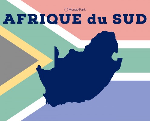 Mieux préparer son voyage avec une infographie sur l'Afrique du Sud
