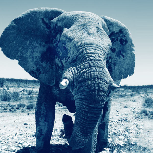 Au-coeur-de-la-namibie voyage safari luxe namibie