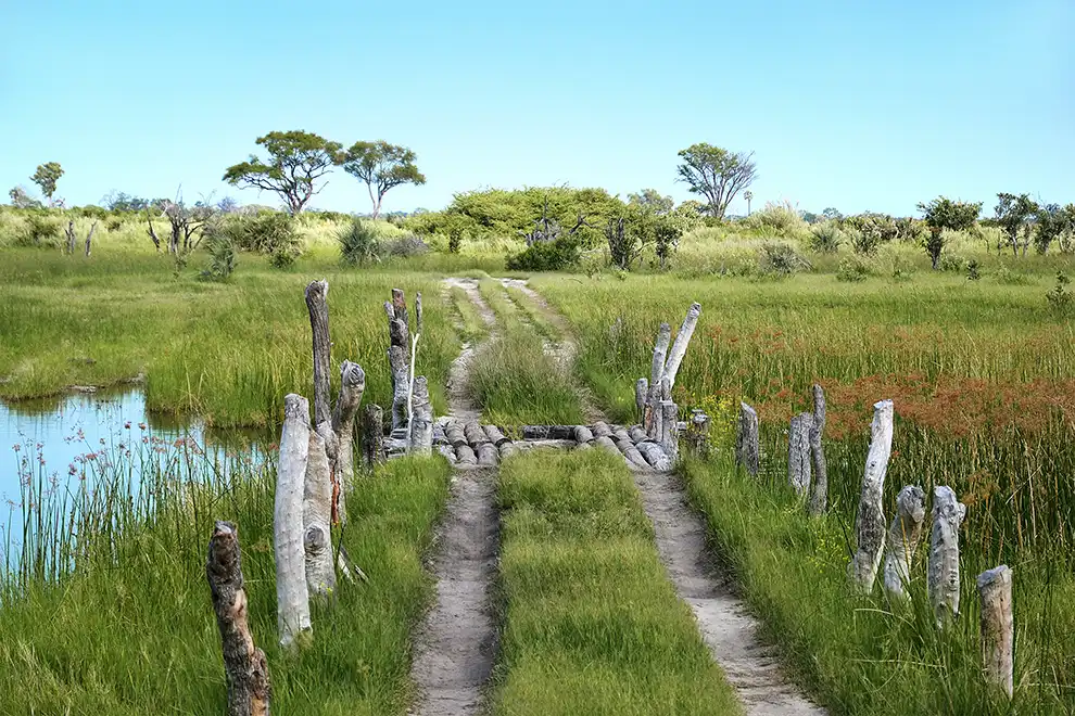 Petit pont rustique et piste de sable traversant les marais du delta de l’Okavango, Botswana.