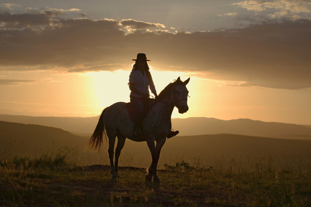 Silhouette d’une cavalière à cheval au coucher du soleil, se détachant sur un horizon.