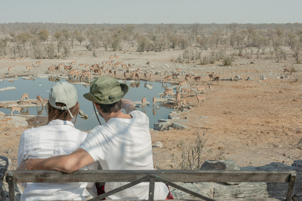 Couple assis observant un point d’eau dans la savane où un grand troupeau d’antilopes vient s’abreuver.