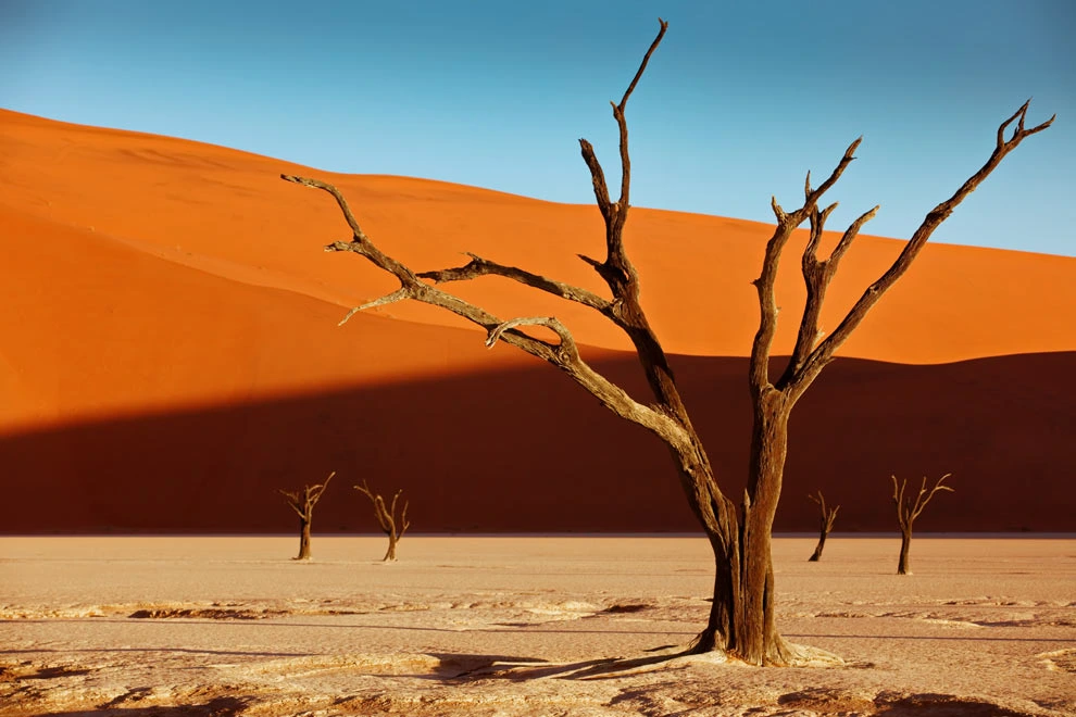 Deadvlei à Sossusvlei en Namibie