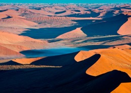 désert et animaux en afrique