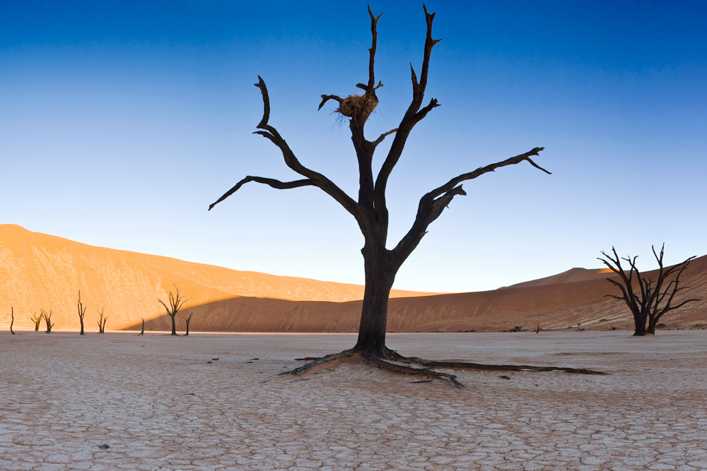 Désert du Namib en Namibie avec Mungo Park