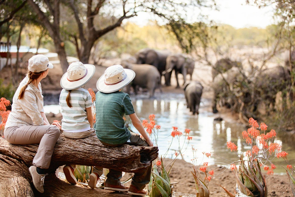 Deux enfants et un adulte assis sur un tronc regardent un groupe d’éléphants se rassembler autour d’un point d’eau dans la savane.