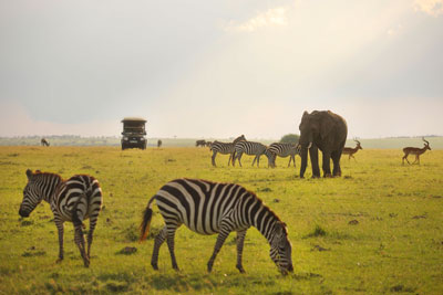 safari masai mara kenya exclusive