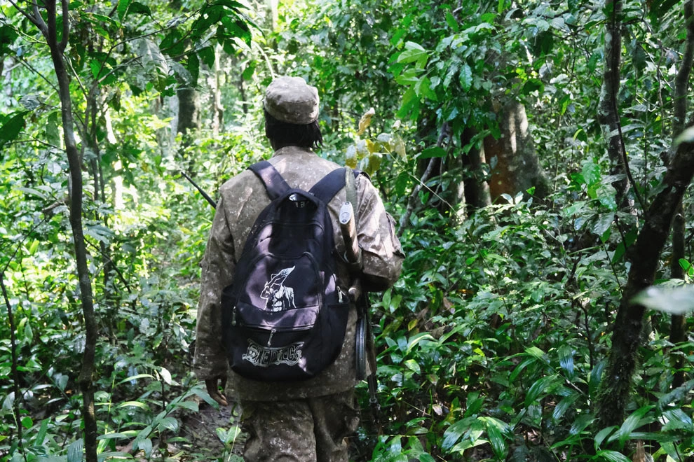 Pisteuse à Kibale en Ouganda