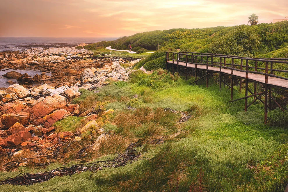 Chemin de marche à Hermanus le long de la Garden Route