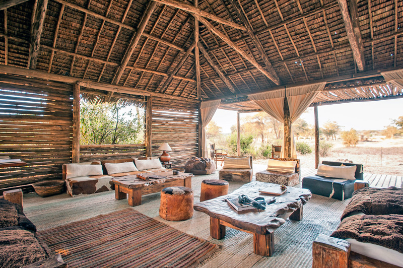 safari tanzanie agence de voyage sur mesure