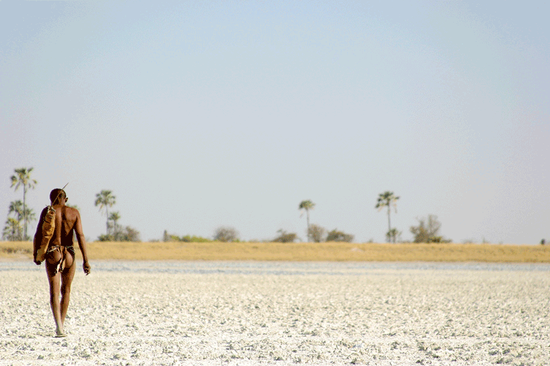 safaris botswana agence de voyage sur mesure
