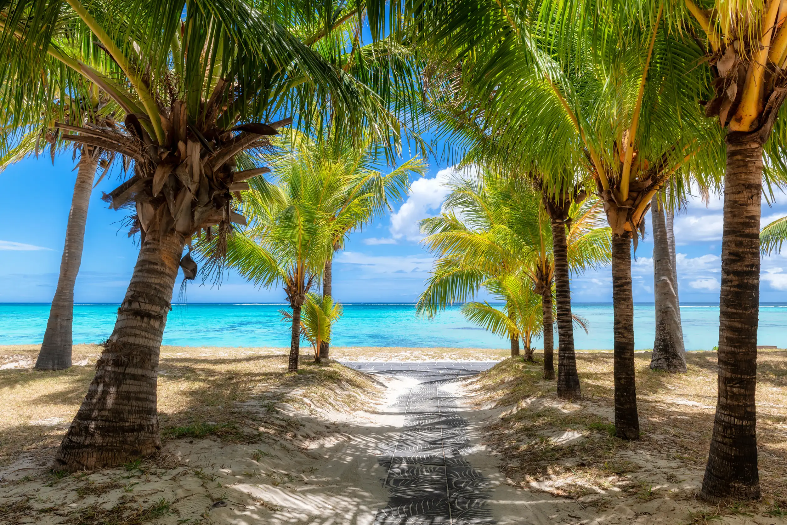 Voyage à l’île Maurice : allée bordée de palmiers menant à une plage de sable blanc et aux eaux turquoise de l’océan Indien.