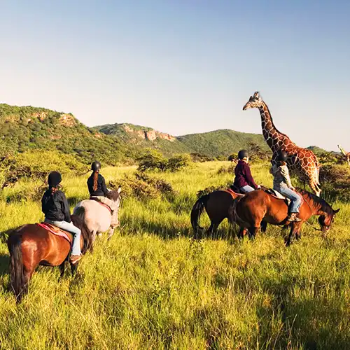 Safari a cheval à la rencontre des animaux en Afrique du Sud dans la région du Waterberg dans le Limpopo lors d'un voyage avec Mungo Park