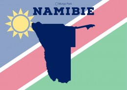 infographie sur la Namibie