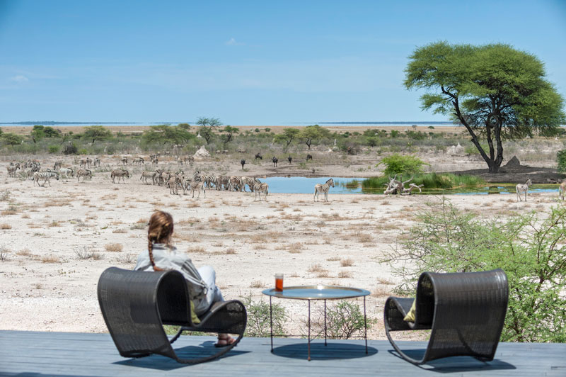 voyage specialiste safaris etosha namibie