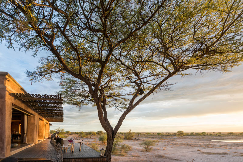 voyage specialiste safaris etosha namibie