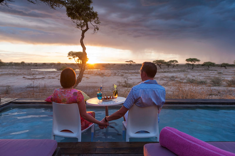 voyage specialiste safaris etosha namibie