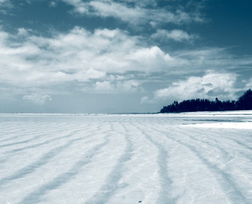 Pemba Tanzanie agence voyage Mungo Park
