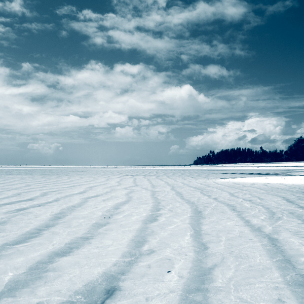 Pemba Tanzanie agence voyage Mungo Park