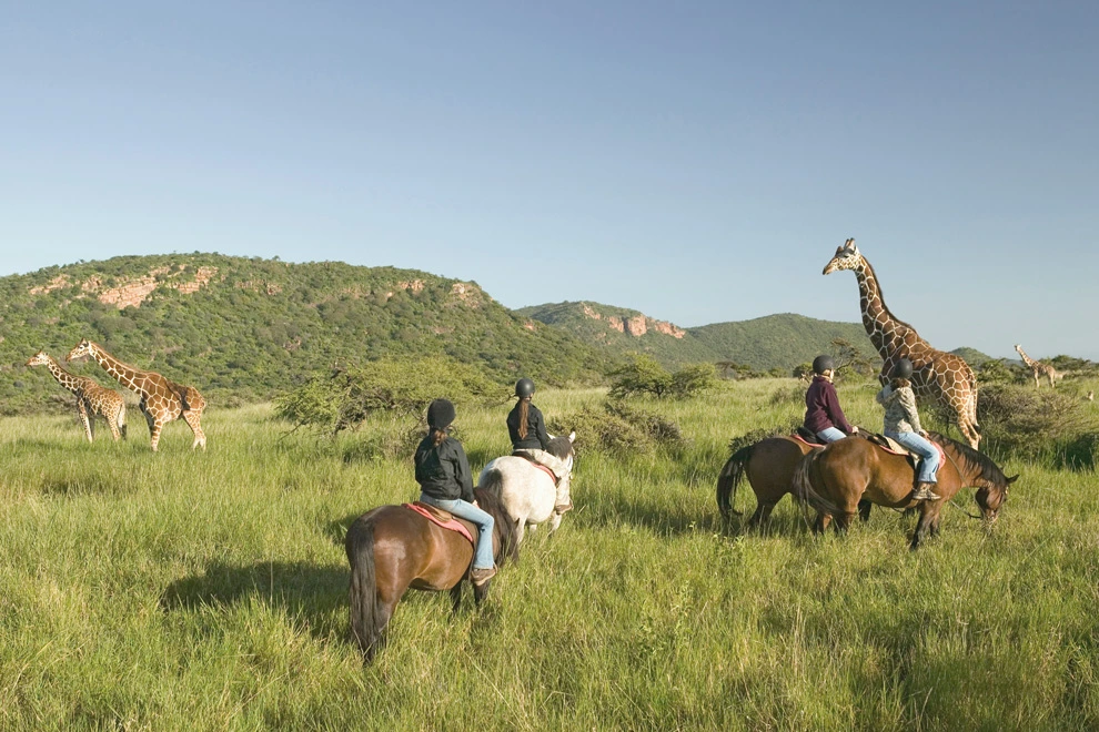 Trois cavaliers à cheval observent des girafes dans une savane vallonnée.