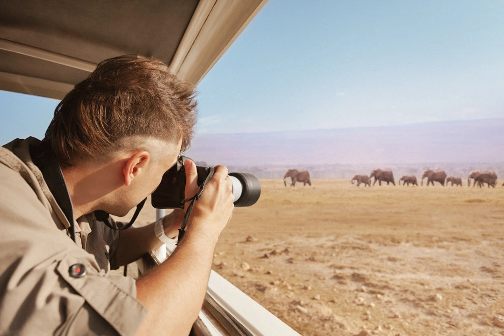 Photographe en safari capturant un troupeau d’éléphants à travers la fenêtre d’un véhicule dans la savane.