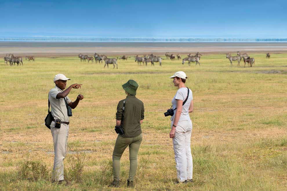 Safari à pieds en Tanzanie