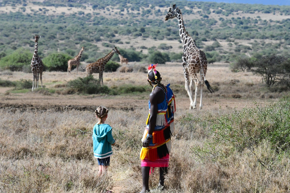 Observation de girafes par un enfant à pied, en compagnie d’un guide Samburu