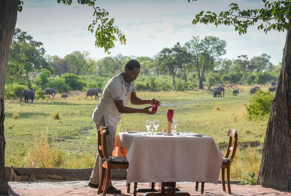 Un serveur prépare une table élégante pour deux en pleine savane, tandis que des éléphants évoluent en arrière-plan.