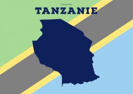 infographie sur la Tanzanie