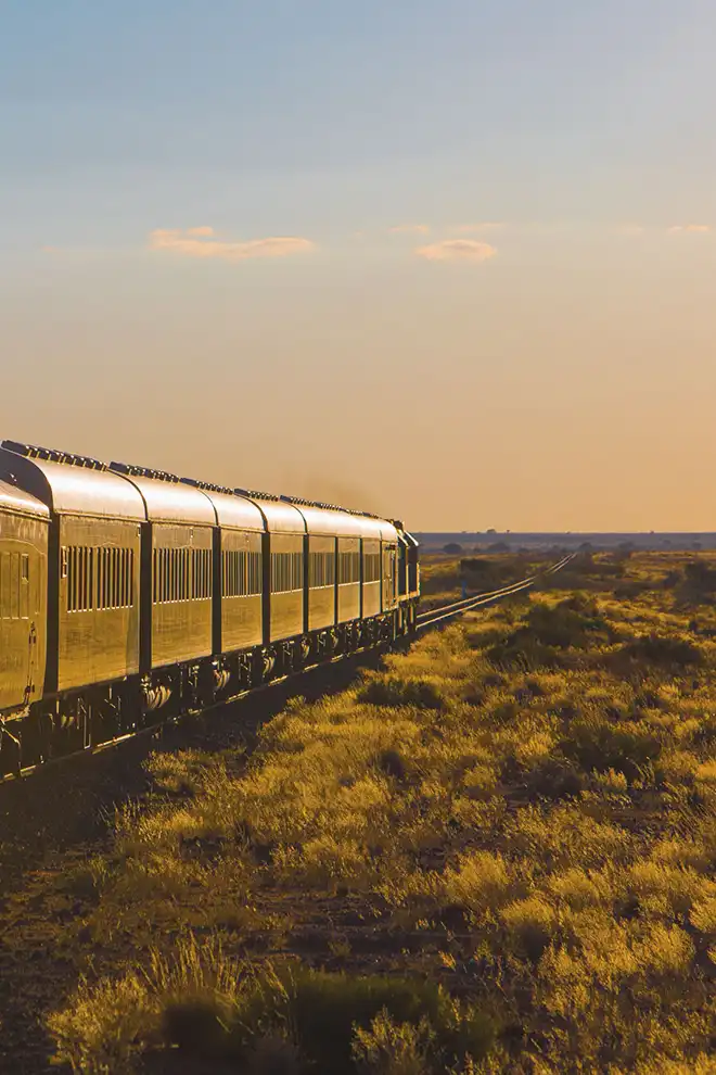 Train traversant les paysages sauvages d’Afrique au coucher du soleil.