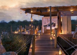 safari exceptionnel tree house