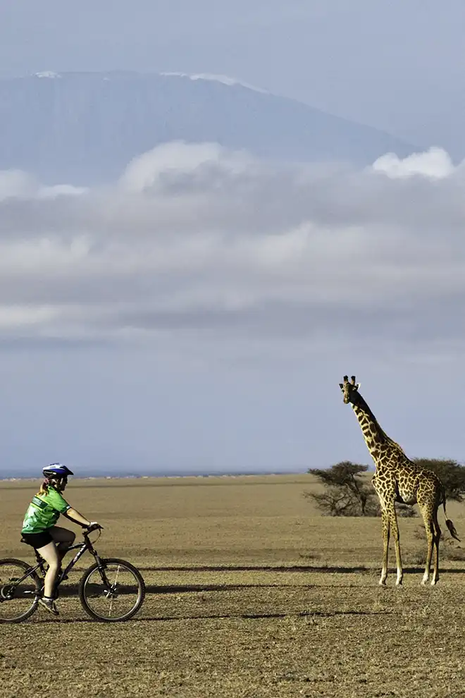 Cycliste pédalant à travers la savane kenyane, face à une girafe, avec le Kilimandjaro en toile de fond.