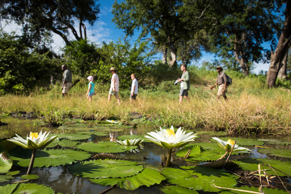 Groupe de voyageurs accompagnés d’un guide marchant le long d’un point d’eau bordé de nénuphars, dans une végétation dense.