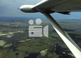 avion taxi au botswana