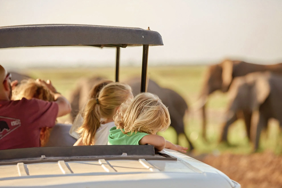 Deux enfants observent des éléphants depuis un véhicule de safari au cœur de la savane.