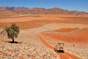 agence de voyage suisse pour afrique agence de voyage namibie desert namibie voyage namibie