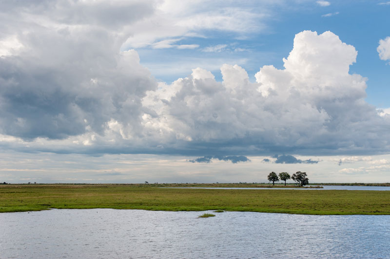 safari de luxe botswana agence voyage sur mesure suisse geneve