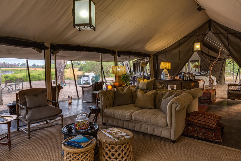 safari en afrique agence voyage sur mesure afrique du sud botswana