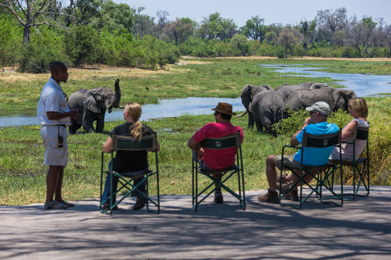 safari sur mesure agence voyage suisse geneve botswana delta okavango