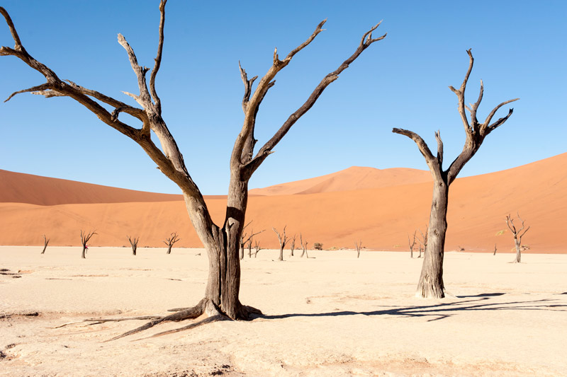 agence de voyage namibie, voyage sur mesure, specialiste safari