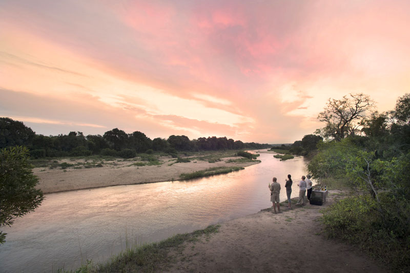 safari en afrique agence voyage suisse pour safari sur mesure botswana