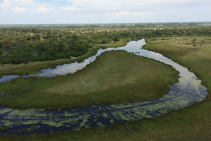hors sentiers battus en safari au botswana
