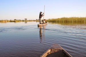 safaris sur mesure au botswana avec mungo park