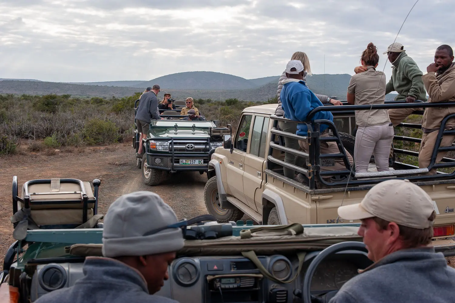Guides et membres de l'équipe attendent dans plusieurs véhicules de safari, tôt le matin, avant l'intervention sur les rhinocéros.