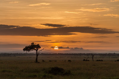 maasai mara angama safari exclusive sur mesure